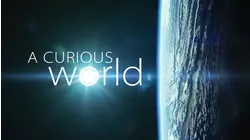 A Curious World
