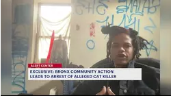 Bronx man accused of killing cat in 'ritualistic act' arrested after community tips, advocates say