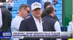 Trump rebuffs calls for more regulation on AI