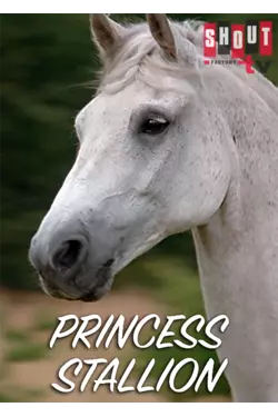 The Princess Stallion
