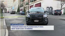 Yonkers man pleads guilty in fatal New Year's Day stabbing on Hudson Street