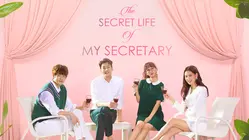 The Secret Life of My Secretary