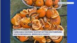 Middlesex County farm to visitors: 'Please don't sit on the pumpkins.'