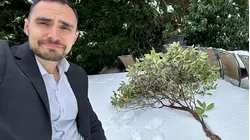 Cold & snow this winter could give us our most colorful spring in years