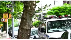 Man arrested for rape after sexual assault of Bensonhurst woman