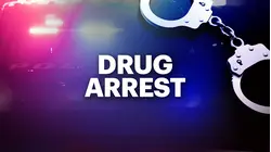 Over 25 pounds of marijuana seized during Denville traffic stop