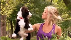 Dog Eat Dog
