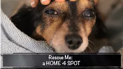Rescue Me: A Home 4 Spot (2019)