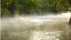 How To Do The Florida Springs: Above & Below