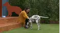 The Dog House Australia