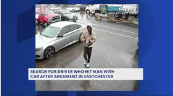 Man wanted for striking autobody shop employee with his car in Eastchester, police sources say