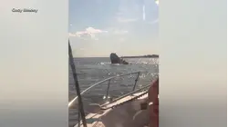 Whale strike sinks New Jersey rescue boat