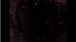 End