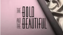 The Bold And The Beautiful: Episode 201