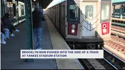 Man standing on platform shoved into moving train in Highbridge