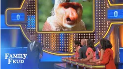 Monkey business on the Feud!!! | Family Feud