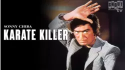 Karate Killer