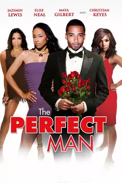 THE PERFECT MAN