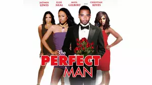 THE PERFECT MAN