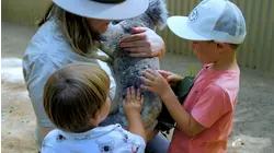 Iconic Trip Down Under
