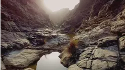 Weird Wonders Of The Wadi