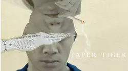 Paper Tiger