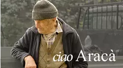 Ciao AracĂ