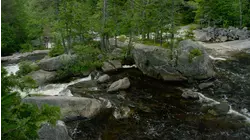 Katahdin Woods And Water