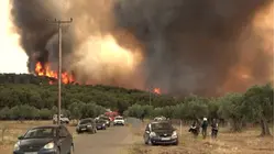 2 Teens Arrested in Connection to Paris-Area Wildfire