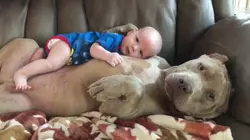 Baby's Best Friend