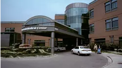 It's A Dog Eat Drew World