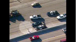 World's Wildest Police Videos