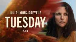 Tuesday
