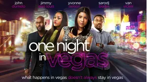 One Night In Vegas