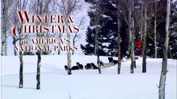 Winter and Christmas in America's National Parks