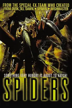 Spiders