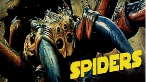 Spiders