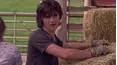 Heartland