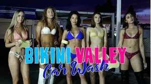 Bikini Valley Car Wash