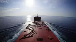 Gantry Cranes P2 - Miami / Cables / Pastor Pete