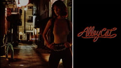 Alley Cat