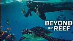 Beyond The Reef