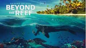 Beyond The Reef