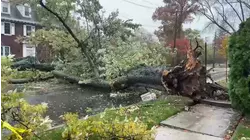 Isolated storms causing damage throughout NJ, NY