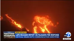 LAPD's response to during Palisades Fire was marked by miscommunication, confusion, report says