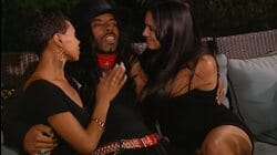 Love is in the Stallion-Air