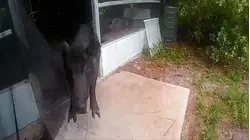Roommate Disturbance (9-12-2025)