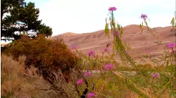 Great Sand Dunes (2004)