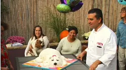 Quinceaneras and Quarterbacks