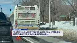 Stabbing on BeeLine bus leads to arrest of 15yearold